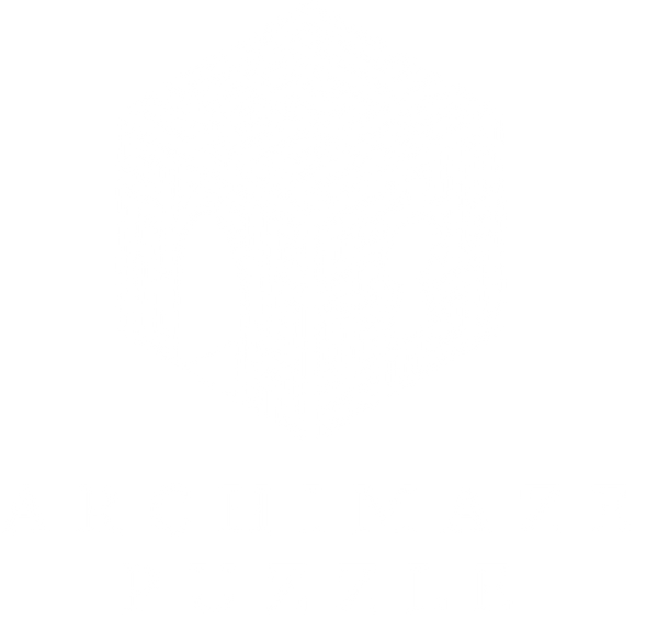 Archimaze Puzzle